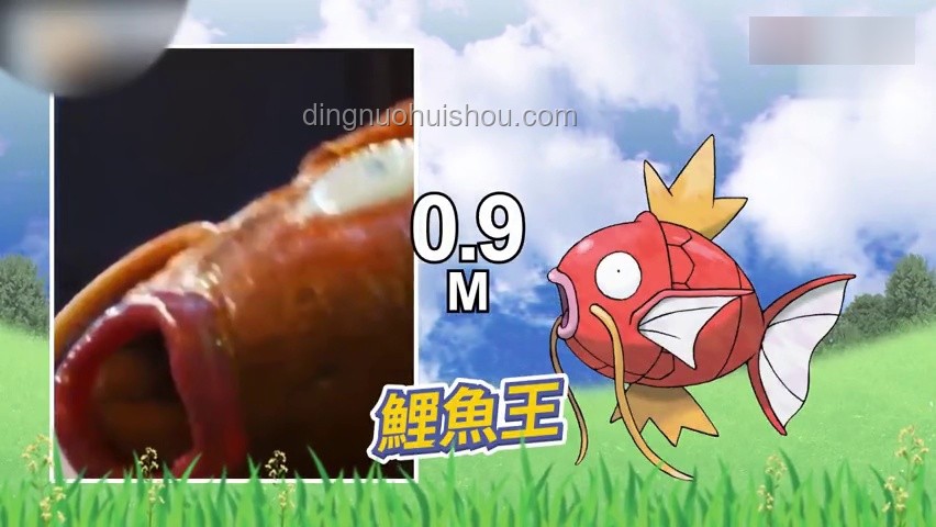 精灵宝可梦中的有趣冷知识案例研究